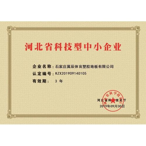 翼辰地板-河北省科技型中小企業